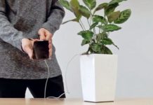 Begini Caranya Ngecas HP Lewat Tanaman Ngecas HP