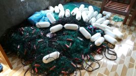 wartakepri.co.id bantuan paten 1