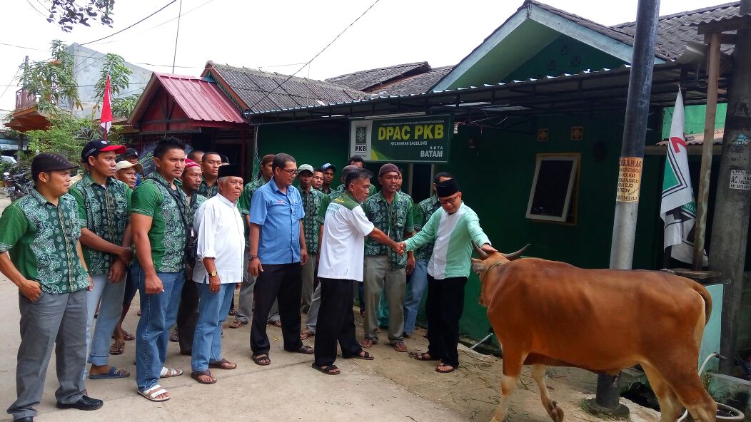 DPC PKB Batam Kurban 1 Sapi dan 11 Kambing di Kecamatan Sagulung