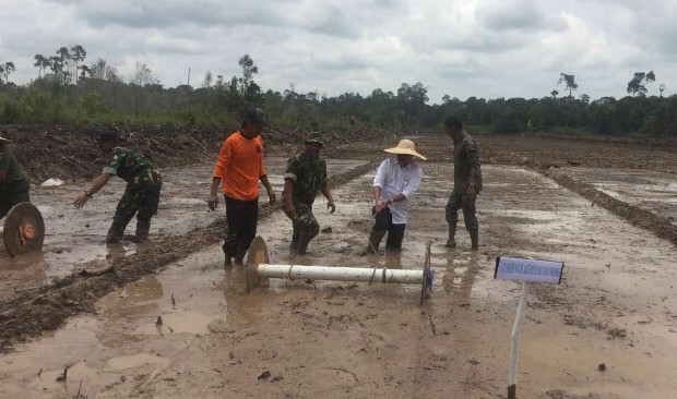 Penasaran Program 3.000 Hektar Sawah di Lingga, Menteri Amran Langsung Semai Padi
