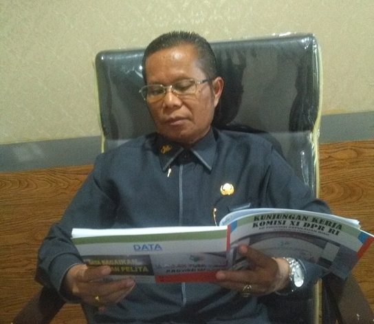 Kepala BPS Kepri, Panusunan Sirega