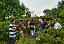 Kajian UGM : Topografi Pulau Bakung Layak Jadi Tempat Karantina Sapi