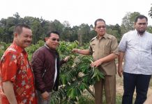 Kunjungan Ketua Umum HKTI Moeldoko: Ingin Kembangkan Padi Jenis M70D di Lingga