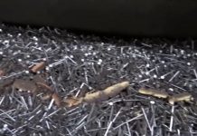 NEWS VIDEO : Kamu Tahu Paku?, Ternyata Begini Proses Pembuatan Paku Di Pabrik