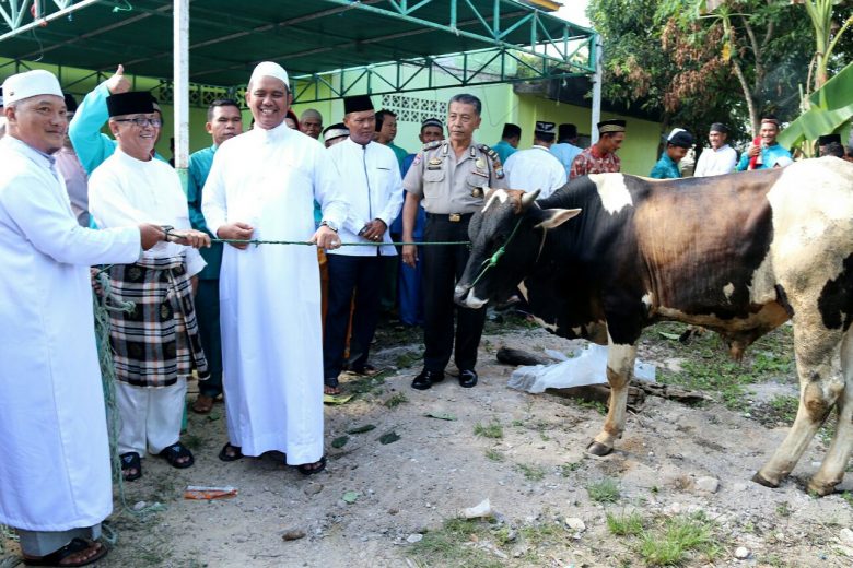 Total Hewan Kurban 302 Sapi dan 167 Kambing se Kabupaten Bintan