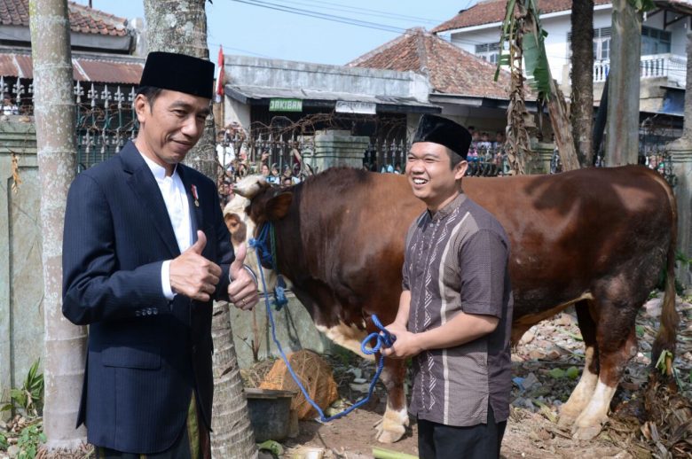 Presiden Bagikan Hewan Kurban dan Paket Sembako di Sukabumi