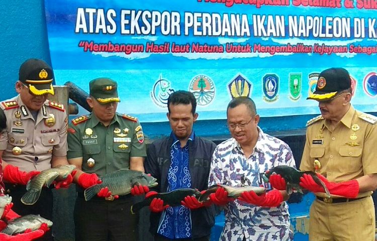 Bupati Natuna Melaksanakan Pelepasan Ekspor Perdana Ikan Napoleon ke Hong Kong Bupati Natuna Melaksanakan Pelepasan Ekspor Perdana Ikan Napoleon ke Hong Kong
