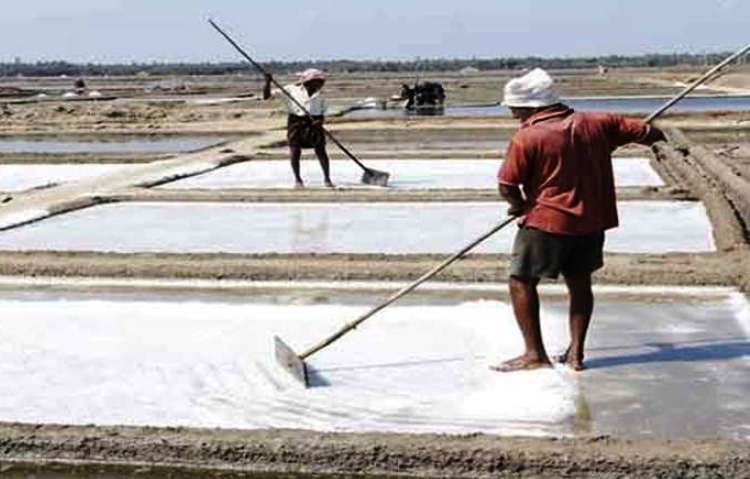 Wartakepri, Petani Garam Wartakepri, Petani Garam
