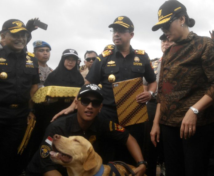 IMG_20180315_205000-696x575