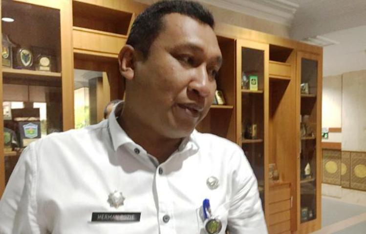 Disperakimtan Batam Melakukan Penataan Kawasan Kabil Wartakepri, Kepala Disperakimtan, Herman Rozie