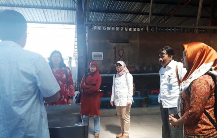 Inilah Dilakukan Dipertan Kabupaten Karimun Untuk Petani Nanas di Kundur