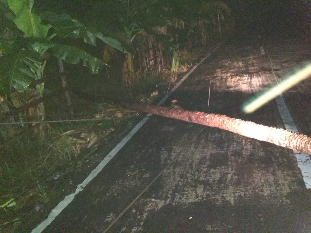 Gegara Pohon Kelapa, Listrik 3 Desa di Jemaja Mati Total