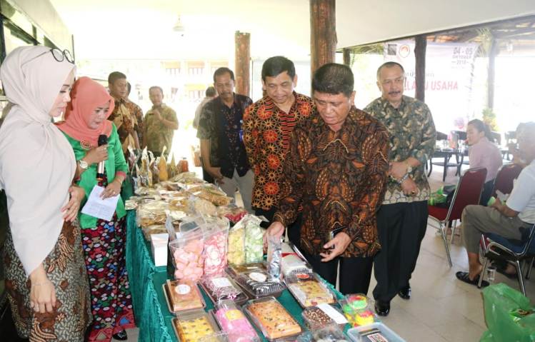 Wakil Bupati Bintan Dalmasri Buka Klinik Bisnis Usaha Bersama Ditjen Perdagangan Dalam Negeri
