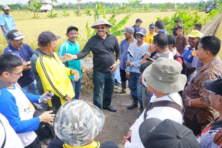 Gubernur Kepri Tinjau Tanggul Air Terbengkalai di Kecamatan Kundur