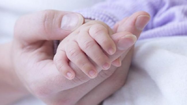 Ini Dia Aturan Makanan yang Baik Dikonsumsi Oleh Ibu Hamil