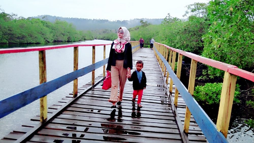 Wisata Hutan Mangrove di Natuna Diserbu Ribuan Wisatawan2