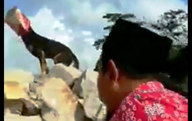 Walau Takut Hendro Prawinata Beranikan Diri Menolong Seekor Anjing yang Terjebak