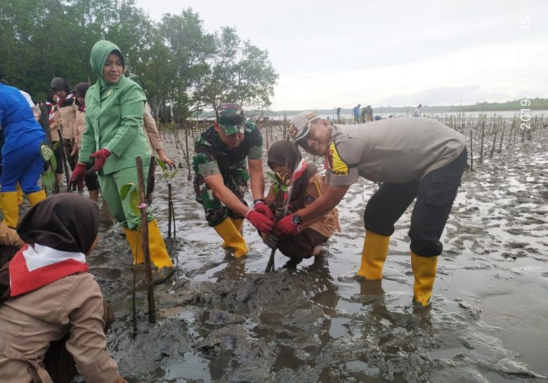 TNI Tanam 300.074 Mangrove dari Sabang ke Merauke sampai Pulau Natuna