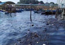 Warga Belakang Padang Resah Tumpahan Minyak Cemari Laut Tumpahan Minyak Wilayah Belakang Padang 1