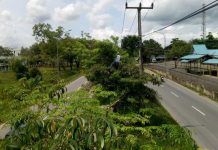 Musim Hujan Tiba, bright PLN Batam Mitigasi Sistem Kelistrikan, Ada Keluhan Jaringan Call 0778-123 Musim Hujan Tiba, bright PLN Batam Mitigasi Sistem Kelistrikan