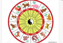 Sekilas Info Imlek 2021, Berikut Daftar 12 Shio Menurut Tahun Kelahiran Serta Sifat Sifatnya 12 Shio Imlek