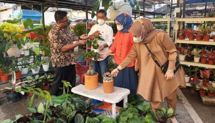 Batam Flower di BCS Mall Batam Flower di BCS Mall