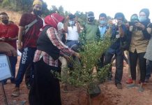 Wako Tanjungpinang Rayakan Hari Pers Nasional 2021 dengan Tanam Pohon Ketapang Hari Pers