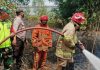 Kerjasama TNI Dan Polri Tanjungpinang Padamkan Kebakaran Lahan Kosong Jalan Kuantan Kebakaran Lahan Tanjungpinang