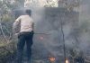Kebakaran Lahan Kosong Hampir Merembet ke Perum PBI II Tanjung Uban Bintan Kebakaran Lahan Uban