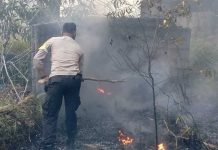 Kebakaran Lahan Kosong Hampir Merembet ke Perum PBI II Tanjung Uban Bintan Kebakaran Lahan Uban