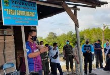 Plt Bupati Lingga Turun Langsung Panen Udang Vanem di Desa Resang dan Desa Tinjul Singkep Panen Udang Vanem di Singkep Lingga