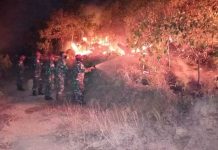 Mako Lanal Karimun Kerahkan Prajurit Padamkan Kebakaran Hutan di Kecamatan Tebing Karimun Mako Lanal Karimun