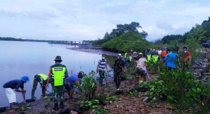 Untuk mencegah abrasi Kodim Natuna