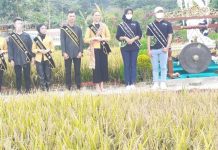 Peringati Hari Jadi ke 6, DPD IPI Gelar Iven Gebyar Panen Raya di Sekupang