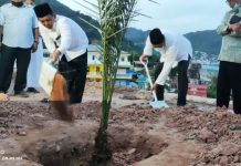 Gubenur Ansar Tanam Pohon Kurma Dari Inggris di Masjid Agung Baitul Makmur Tarempa