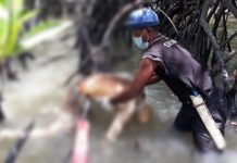 Menjala Udang, Bujang Temukan Mayat, Dugaan Kuat Jenazah TKI