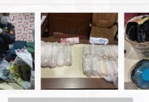 Petugas BC Hang Nadim Kembali Amankan 13 Benih Lobster Mutiara Senilai Rp1,3 Miliar Penyelundupan Lobster Mutiara