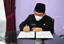 Gubernur Kepri Bekerja dari Rumah, Kondisi Ansar Semakin Pulih