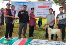 Dari Tahun Ketahun Pendistribusian Hewan Kurban BMH Meningkat. Meydi : Sangat Terbantu, Semoga Amanah