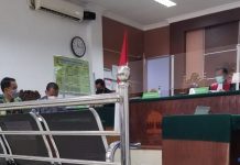 Ayo Sayangi Kucing, Petrus Bolen Pembunuh Kucing di Batam Dijatuhi Hukuman Penjara Pembunuh Kucing