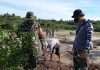 Karya Bhakti TNI Wilayah Perbatasan Buka TPU Khusus Covid-19
