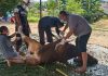 Camat Binut Ingatkan Dalam Pelaksanaan Kegiata Kurban Ikuti Aturan Pemerintah