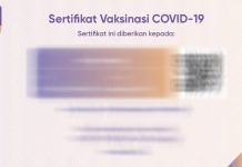Anda Sudah Vaksin, Begini Cara Cek dan Download Sertifikat Vaksinasi Covid-19 di Laman Pedulilindungi.id Sertifikat Vaksinasi Covid