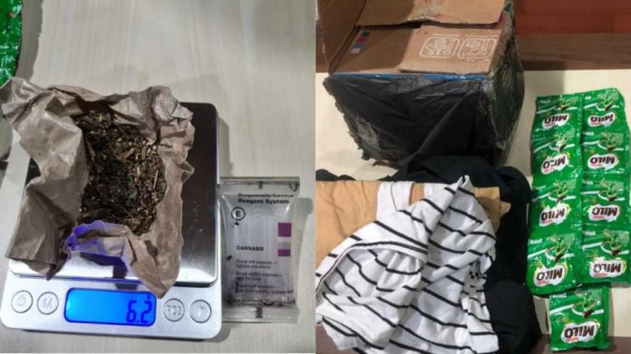 Anjing K-9 Bea Cukai Batam Berhasil Deteksi Paket Ekpedisi Ganja Tujuan ke Lombok