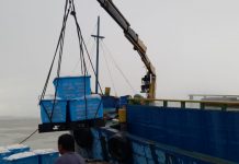 Dorong Ekspor Komoditas Pertanian, 16 Ton Kelapa Tujuan Malaysia Capai 212 Juta