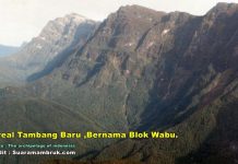 Luhut Binsar Somasi Haris Azhar Terkait Blok Wabu, Potensi Blok Ini Emasnya 8,1 Juta Ons Luhut Binsar Pandjaitan Resmi Somasi Haris Azhar Terkait Blok Wabu