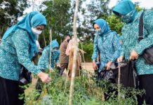 Rasa Syukur akan Melipatgandakan Rezeki, PKK Kepri Panen Cabai di Tembeling