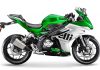 Beneli Luncurkan Pesaing Kawasaki Ninja 250, Dengan Harga Rp 56,9 juta