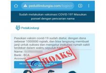 Kadis Kominfo Batam: Waspadai Situs Web pedulilindungia.com adalah Palsu Situs Pedulilindungia palsu