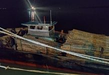 BC Kepri Mengamankan Ribuan Batang Kayu Bakau Yang Akan Diselundupkan Ke Malaysia, Komitmen BC Dalam Pengawasan